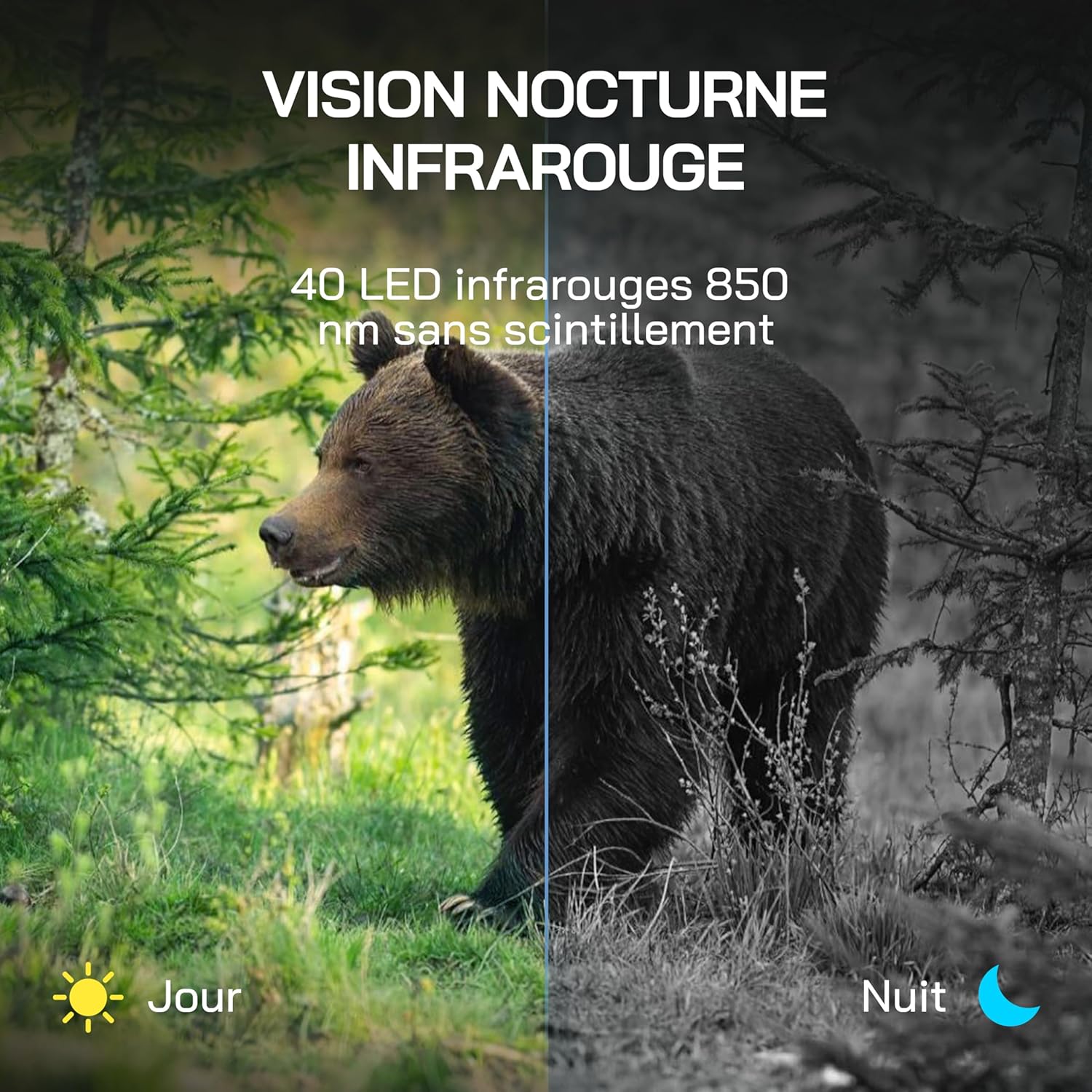 Caméra de chasse Full HD - Terra Aventure