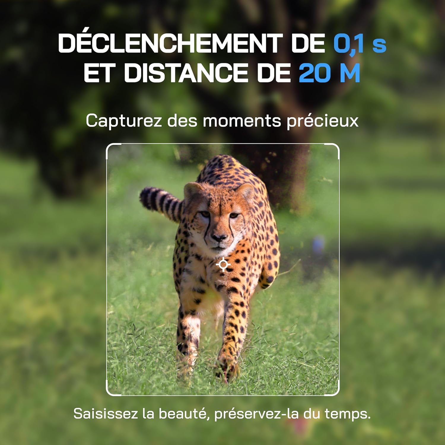 Caméra de chasse Full HD - Terra Aventure