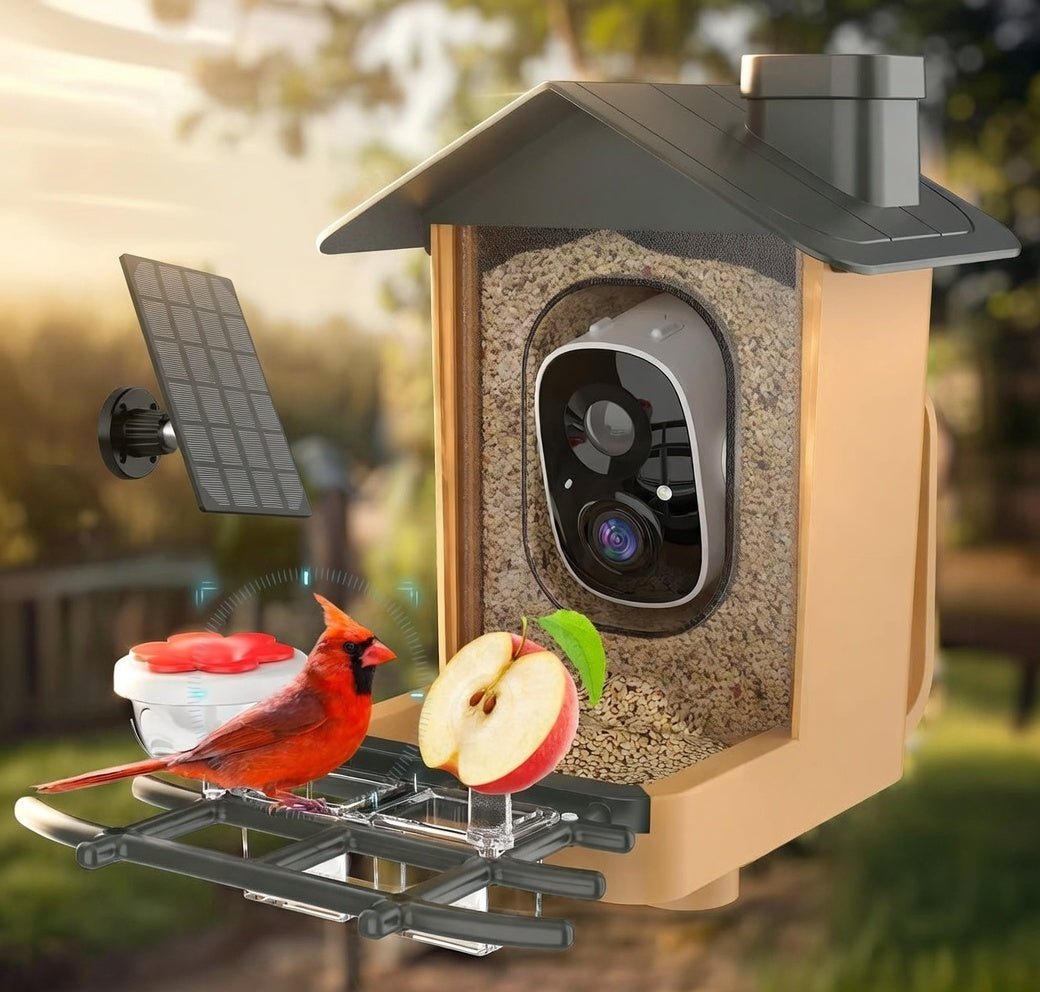 Mangeoire à oiseaux avec caméra 2K IA – Vision nocturne, solaire, étanche IP65 - Terra Aventure