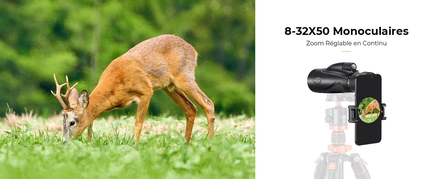 Monoculaire 8 - 32x50 HD à zoom continu avec clip smartphone - Terra Aventure