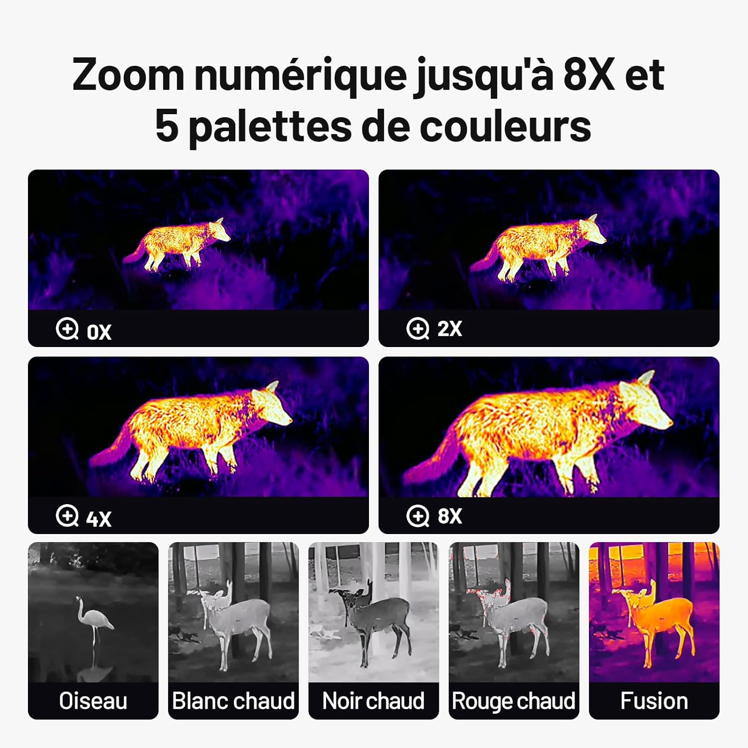 Monoculaire thermique professionnel 320x240 Terra Aventure