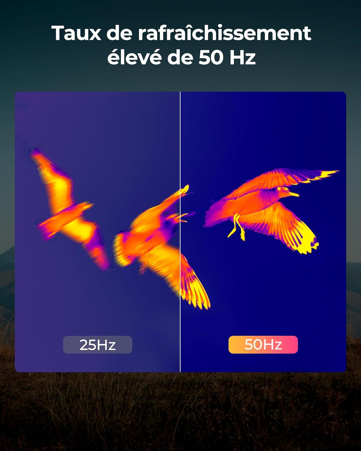 Monoculaire thermique professionnel 320x240 Terra Aventure